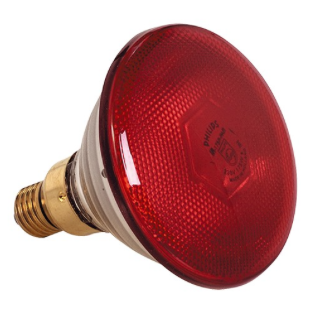 EMGA infra-red heat lamp 250W